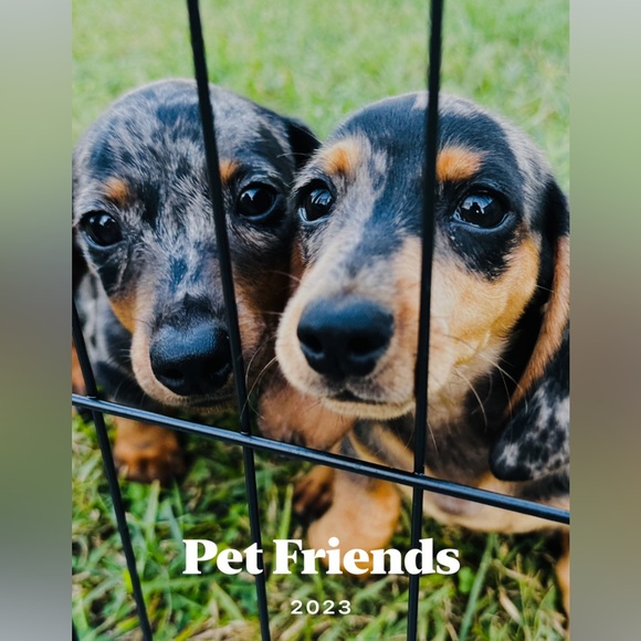 Hi Friend, I’m Christeena - Picture 5 of 16